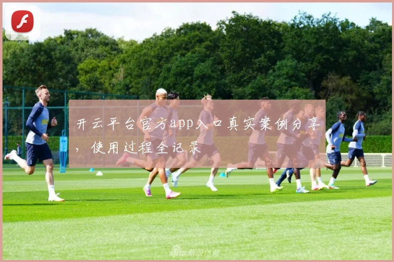 开云平台官方app入口真实案例分享，使用过程全记录