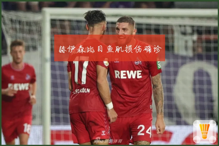 赫伊森比目鱼肌损伤确诊