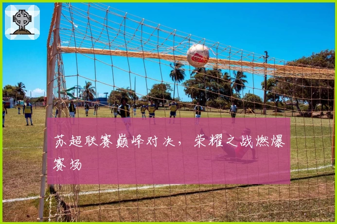 苏超联赛巅峰对决，荣耀之战燃爆赛场