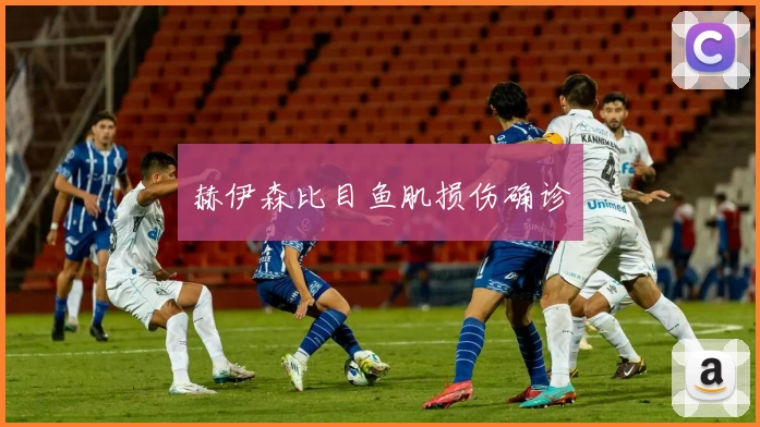 赫伊森比目鱼肌损伤确诊